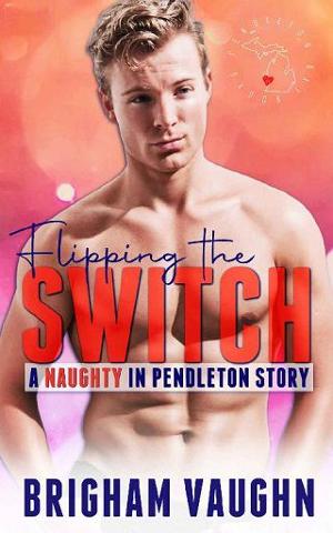 Flipping the Switch by Brigham Vaughn