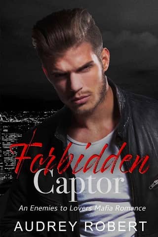 Forbidden Captor by Audrey Robert