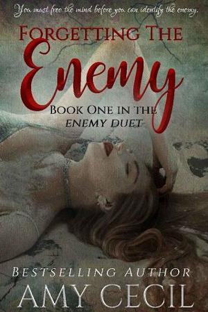 Forgetting the Enemy by Amy Cecil