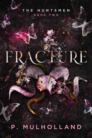 Fracture by P Mulholland