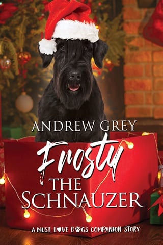 Frosty the Schnauzer by Andrew Grey