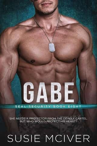 Gabe by Susie McIver