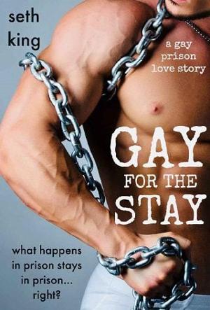Gay for the Stay by Seth King