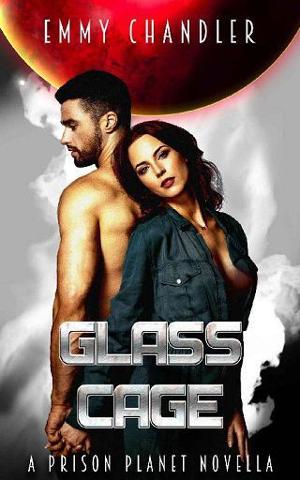 Glass Cage by Emmy Chandler