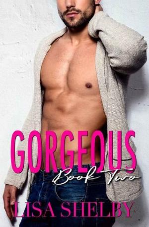 Gorgeous, Book #2 by Lisa Shelby