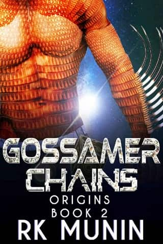 Gossamer Chains by RK Munin