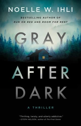 Gray After Dark by Noelle West Ihli