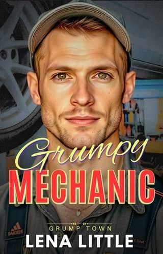 Grumpy Mechanic by Lena Little