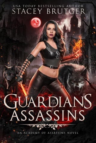 Guardians of the Assassins by Stacey Brutger