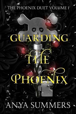 Guarding The Phoenix, Vol. 1 by Anya Summers