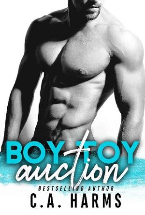 Boy Toy Auction by C.A. Harms