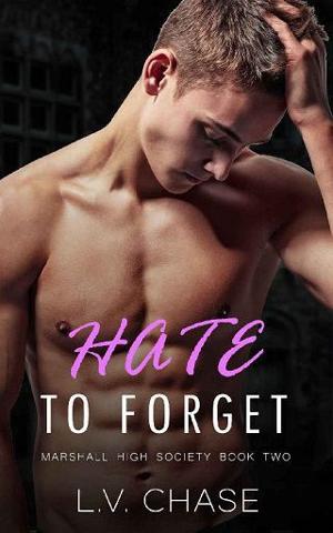 Hate to Forget by L.V. Chase