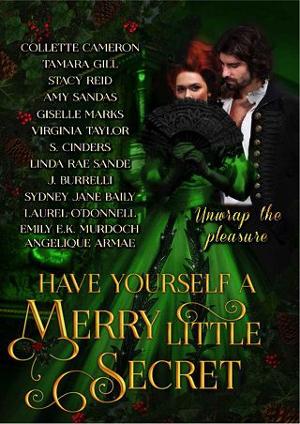 Have Yourself a Merry Little Secret by Tamara Gill