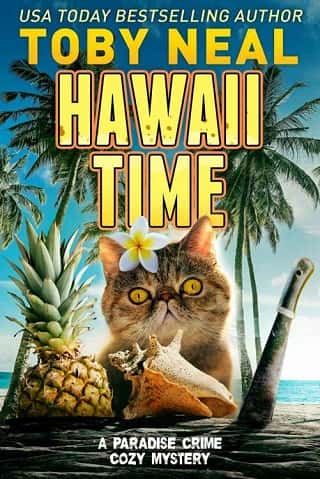 Hawaii Time by Toby Neal