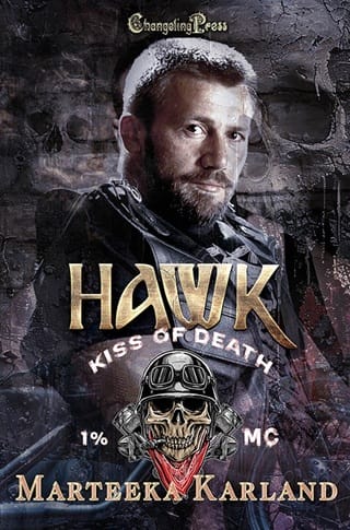Hawk by Marteeka Karland