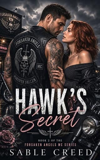 Hawk’s Secret by Sable Creed