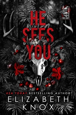 He Sees You by Elizabeth Knox
