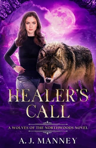 Healer’s Call by A. J. Manney