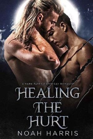 Healing the Hurt by Noah Harris