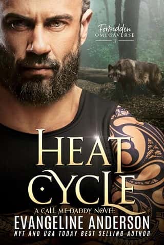 Heat Cycle by Evangeline Anderson