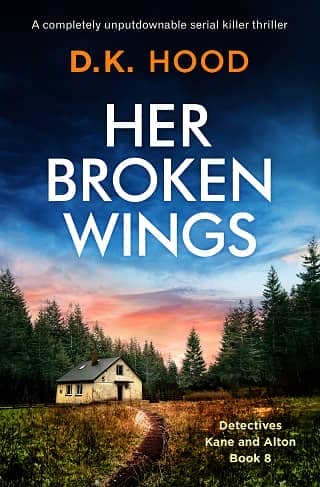 Her Broken Wings by D.K. Hood