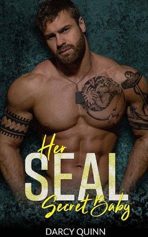 Her SEAL Secret Baby by Darcy Quinn