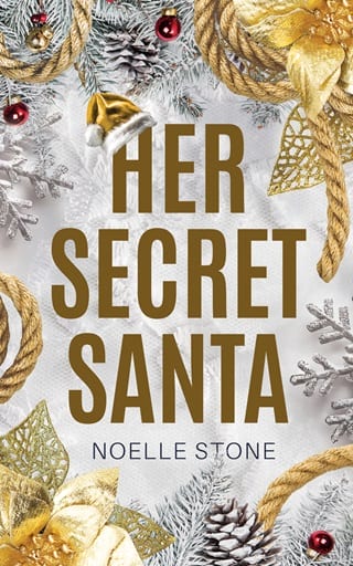 Her Secret Santa by Noelle Stone