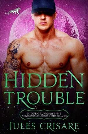 Hidden Trouble by Jules Crisare