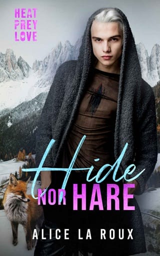 Hide nor Hare by Alice La Roux