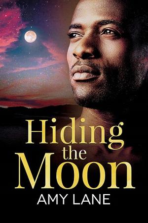 Hiding the Moon by Amy Lane