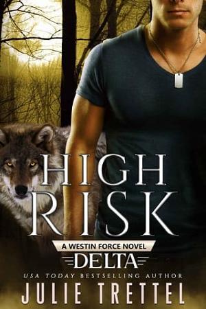 High Risk by Julie Trettel