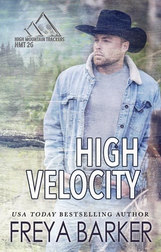 High Velocity by Freya Barker
