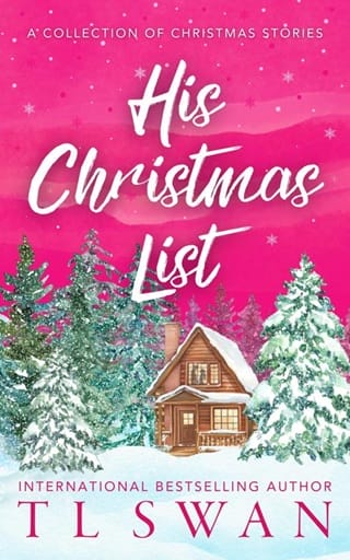 His Christmas List by T L Swan