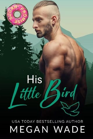 His Little Bird by Megan Wade