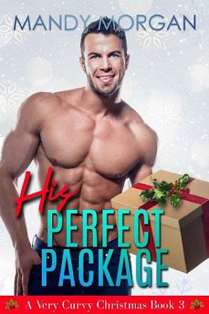 His Perfect Package by Mandy Morgan