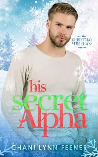 His Secret Alpha by Chani Lynn Feener