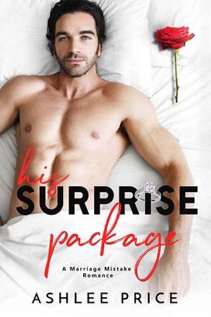 His Surprise Package by Ashlee Price