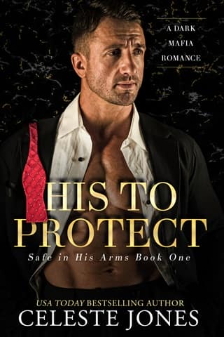 His To Protect by Celeste Jones