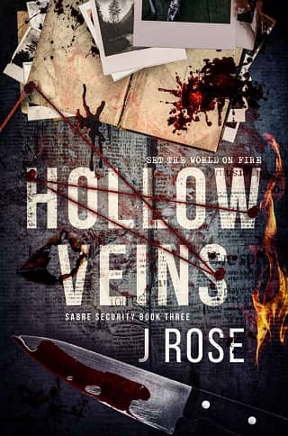 Hollow Veins by J Rose