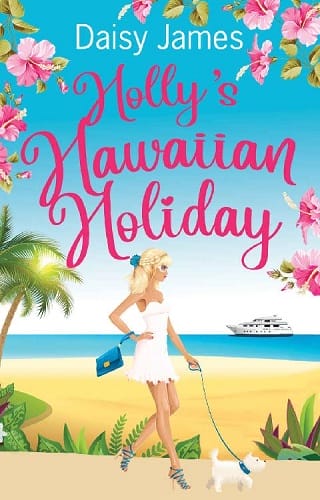 Holly’s Hawaiian Holiday by Daisy James