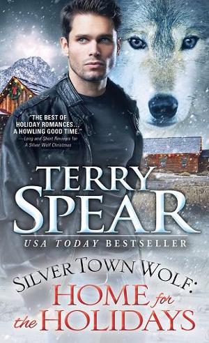 Home for the Holidays by Terry Spear