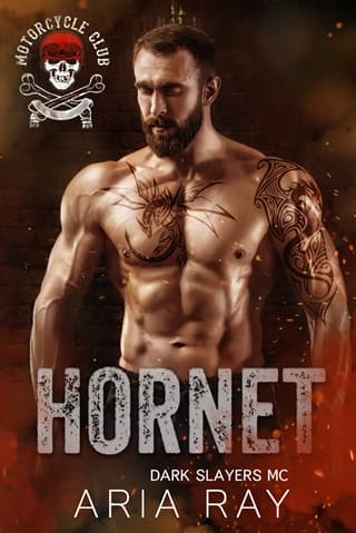 Hornet by Aria Ray