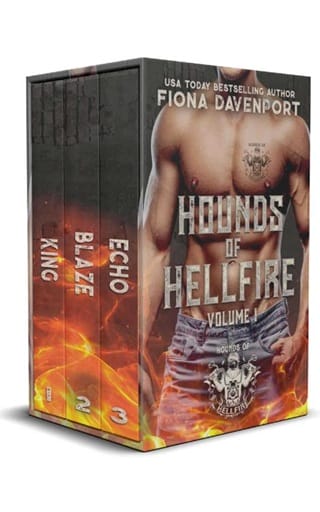 Hounds of Hellfire MC, Vol. 1 by Fiona Davenport