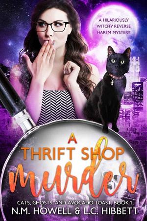A Thrift Shop Murder by N.M. Howell