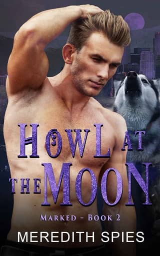 Howl at the Moon by Meredith Spies
