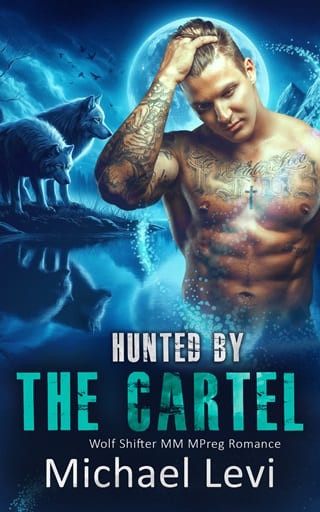 Hunted By the Cartel by Michael Levi