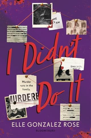 I Didn’t Do It by Elle Gonzalez Rose