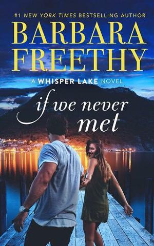 If We Never Met by Barbara Freethy