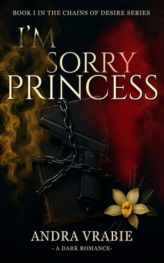 I’m sorry, Princess by Andra Vrabie