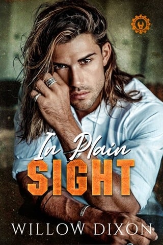 In Plain Sight by Willow Dixon